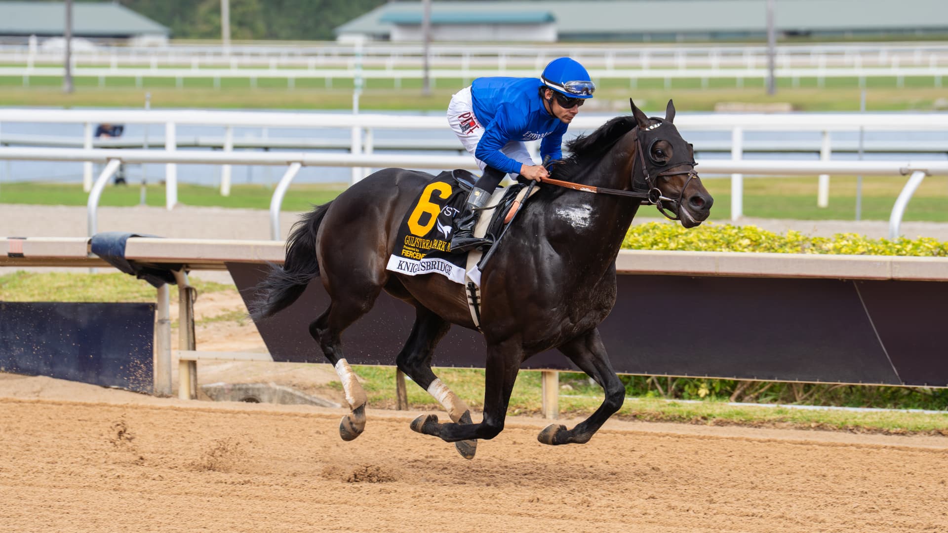 A Thoroughbred racehorse and jockey at full stride on the dirt track